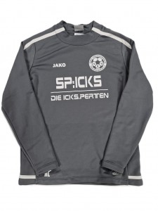 Fantovski športni pulover 11-12 L