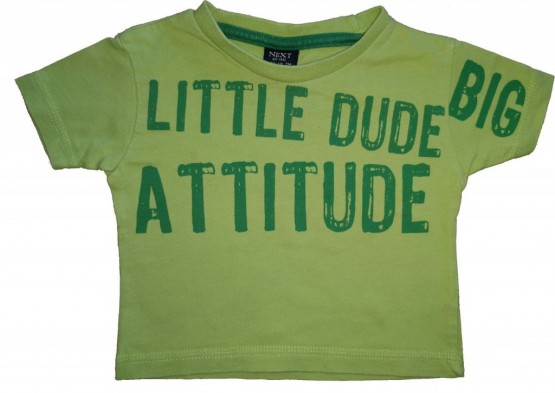 Zelena kratka majica little dude 3-6 M